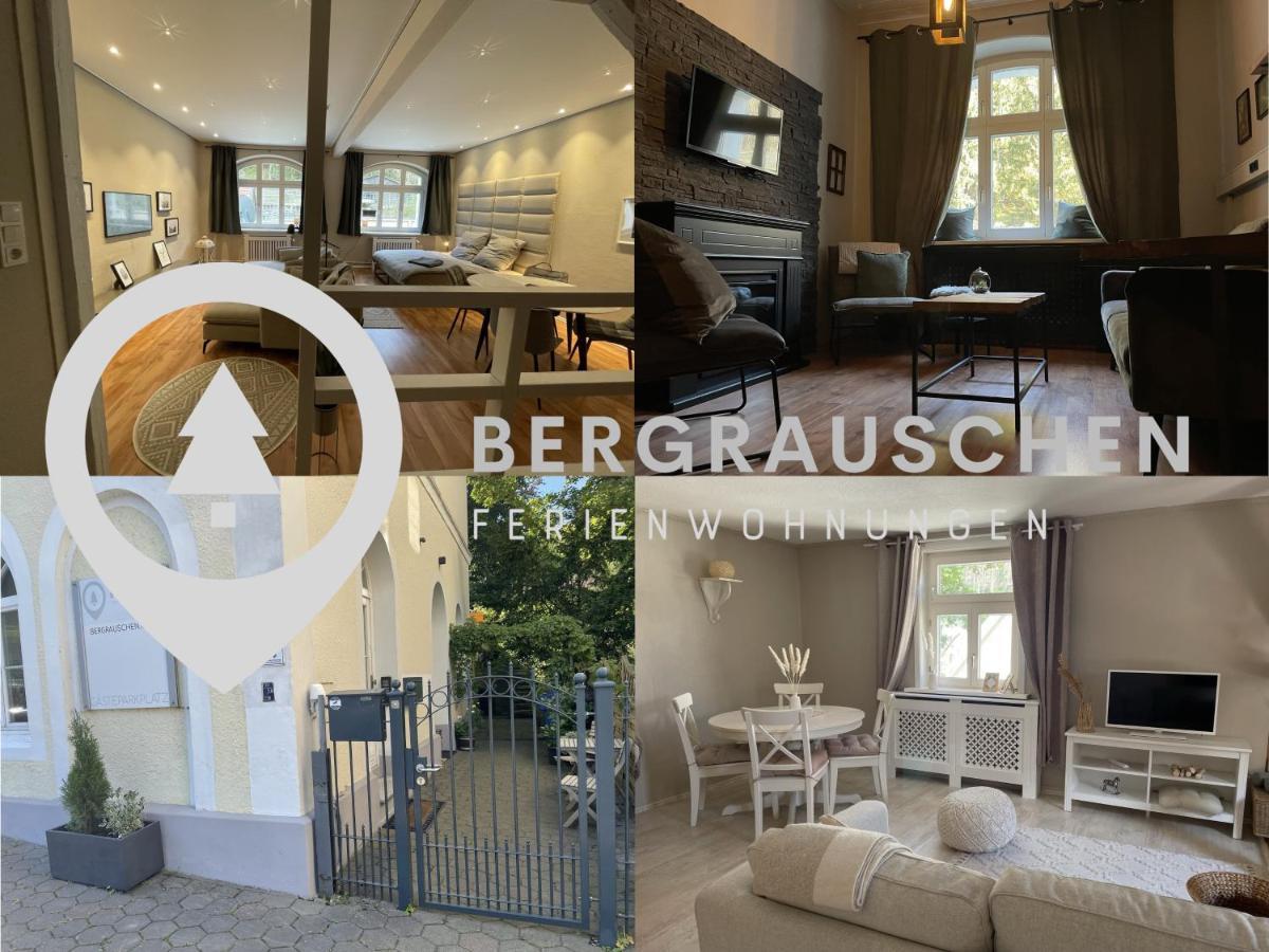 Bergrauschen - Waldloft - Preise Inklusive Waesche Διαμέρισμα Γκόσλαρ Εξωτερικό φωτογραφία